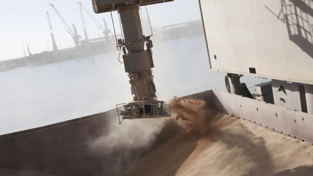 Après la hausse de la fin de semaine dernière, les prix  du blé sont légèrement descendus cette semaine à 209 €/t rendu Rouen ©S.Champion 